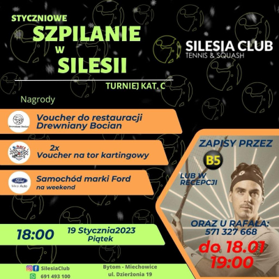 Styczniowe Szpilanie