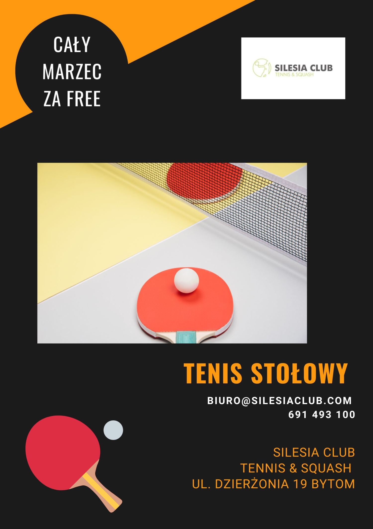 Tenis stołowy - Gratis